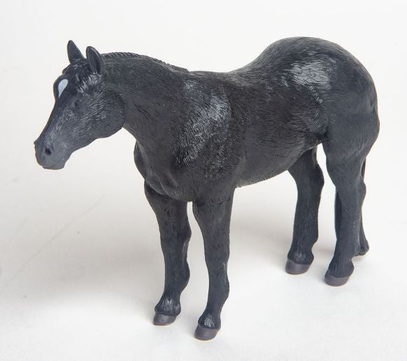 Little Buster Quarter Horse Black