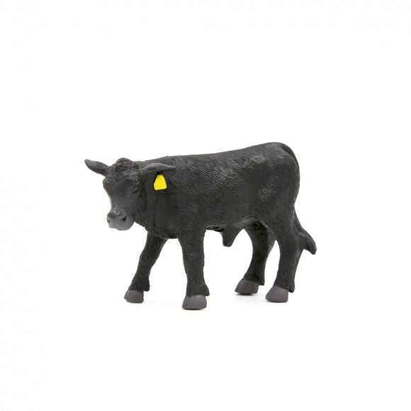 Little Buster Angus Calf